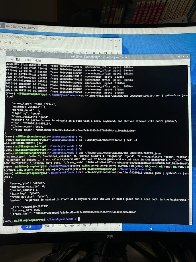 Gemini vision returning structured observation JSON